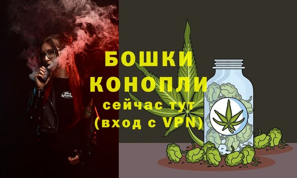 ALPHA PVP Иннополис