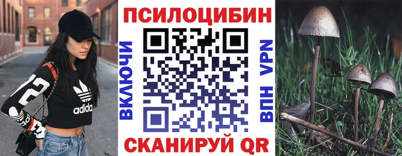 Псилоцибиновые грибы GOLDEN TEACHER  Купить где  Нижнеудинск 